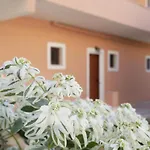 Dora Pagoi 1 Appartamento *