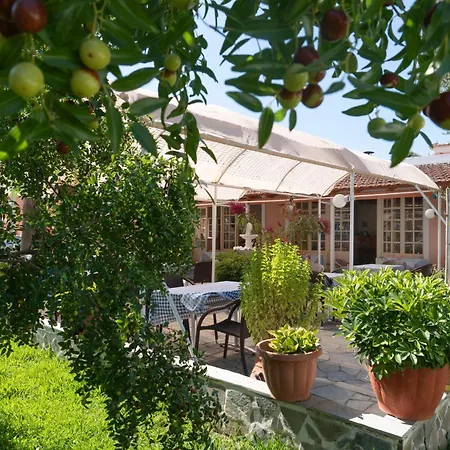Dora Pagoi 1 Apartament Agios Georgios Pagon