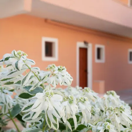 Apartament Dora Pagoi 1
