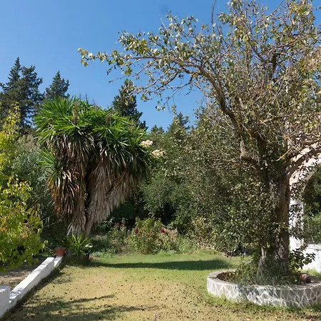 Dora Pagoi 1 Apartament Agios Georgios Pagon