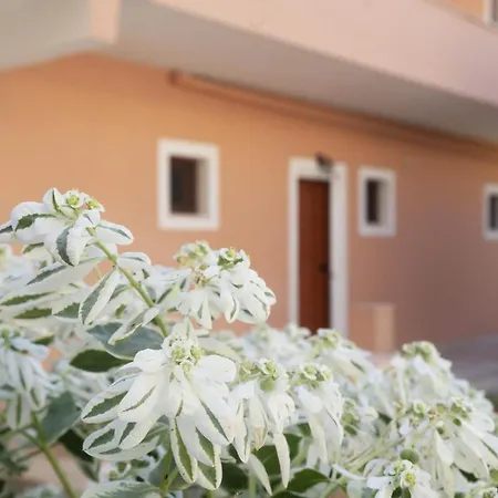 Dora Pagoi 1 Apartman *