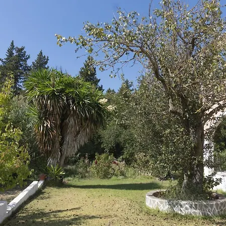 Dora Pagoi 1 Apartmán Agios Georgios Pagon